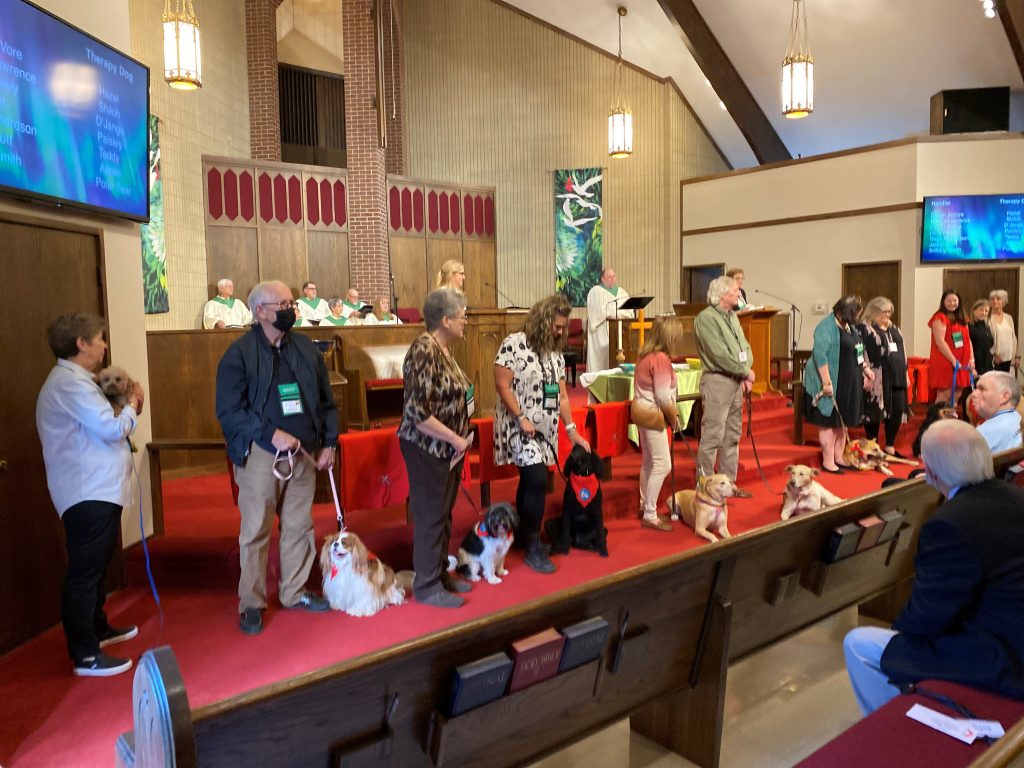 Trained therapy dogs and handlers at PVUMC worship service.